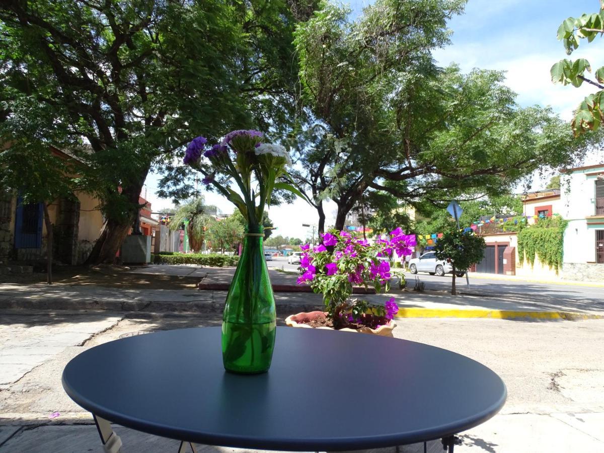 Alojamiento Jalatlaco - Car Rental! Estacionamiento En La Calle Sujeto A Disponibilidad Oaxaca Bagian luar foto